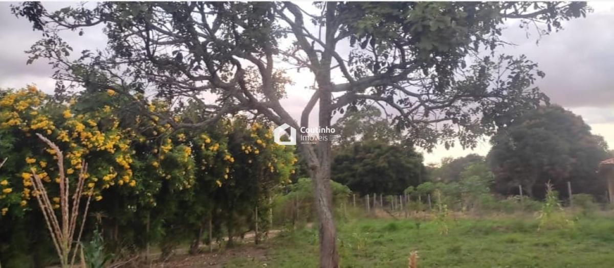 WhatsApp Image 2026-04-20 at 15.51.04 (1).jpeg